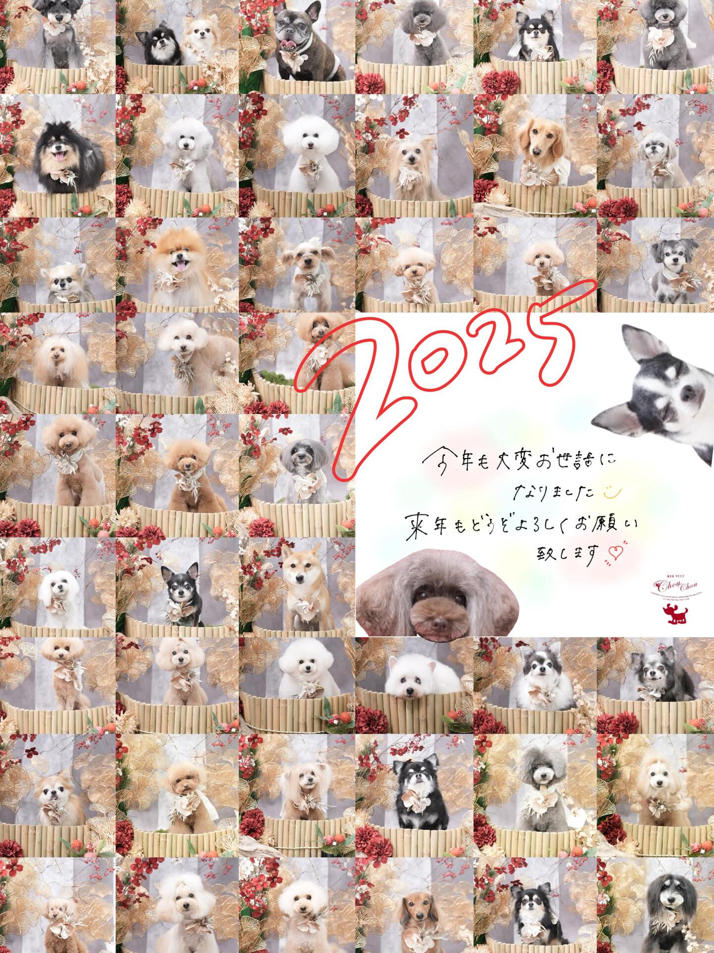 2025年もありがとうございました🐶