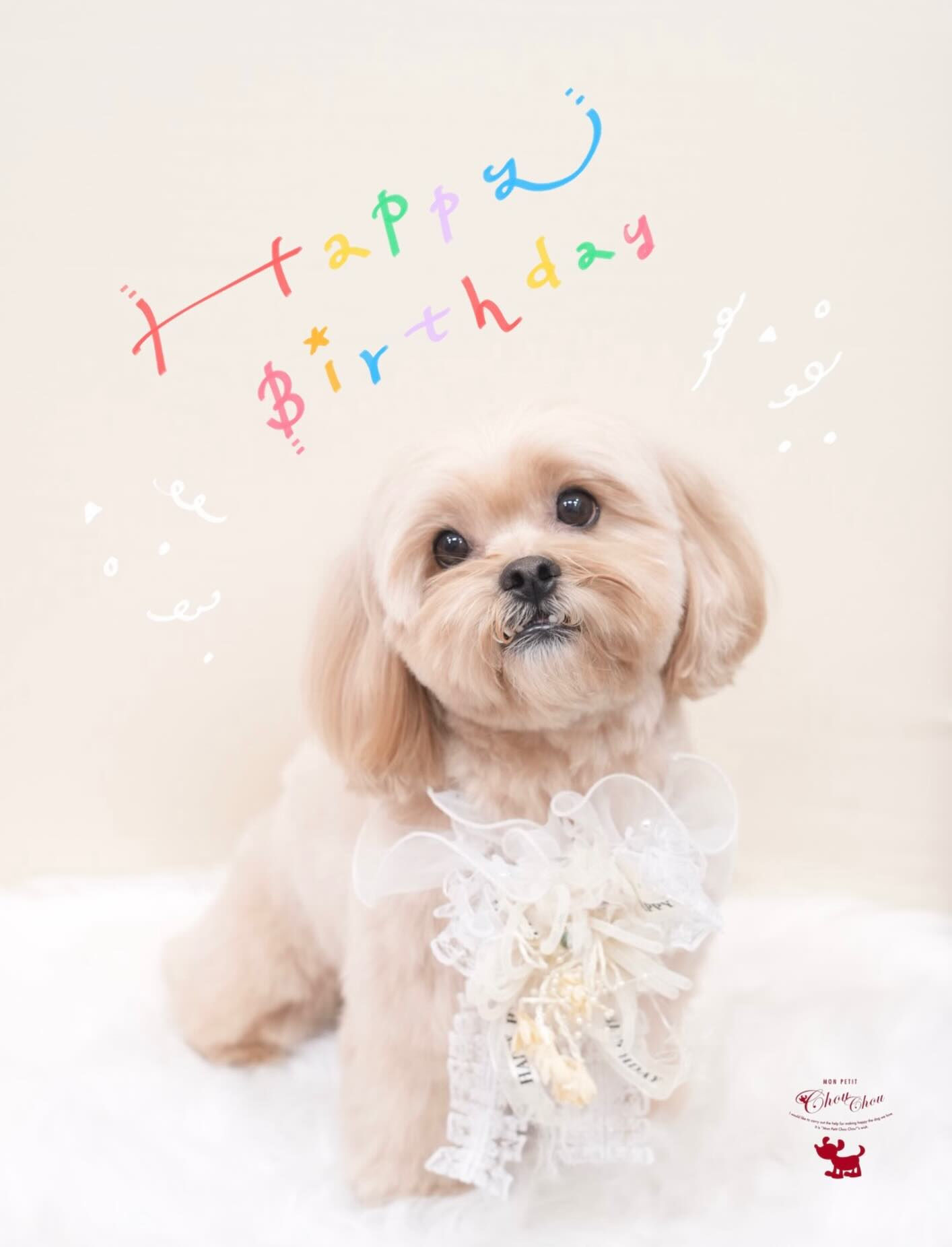 Happy Birthday🎂🎉