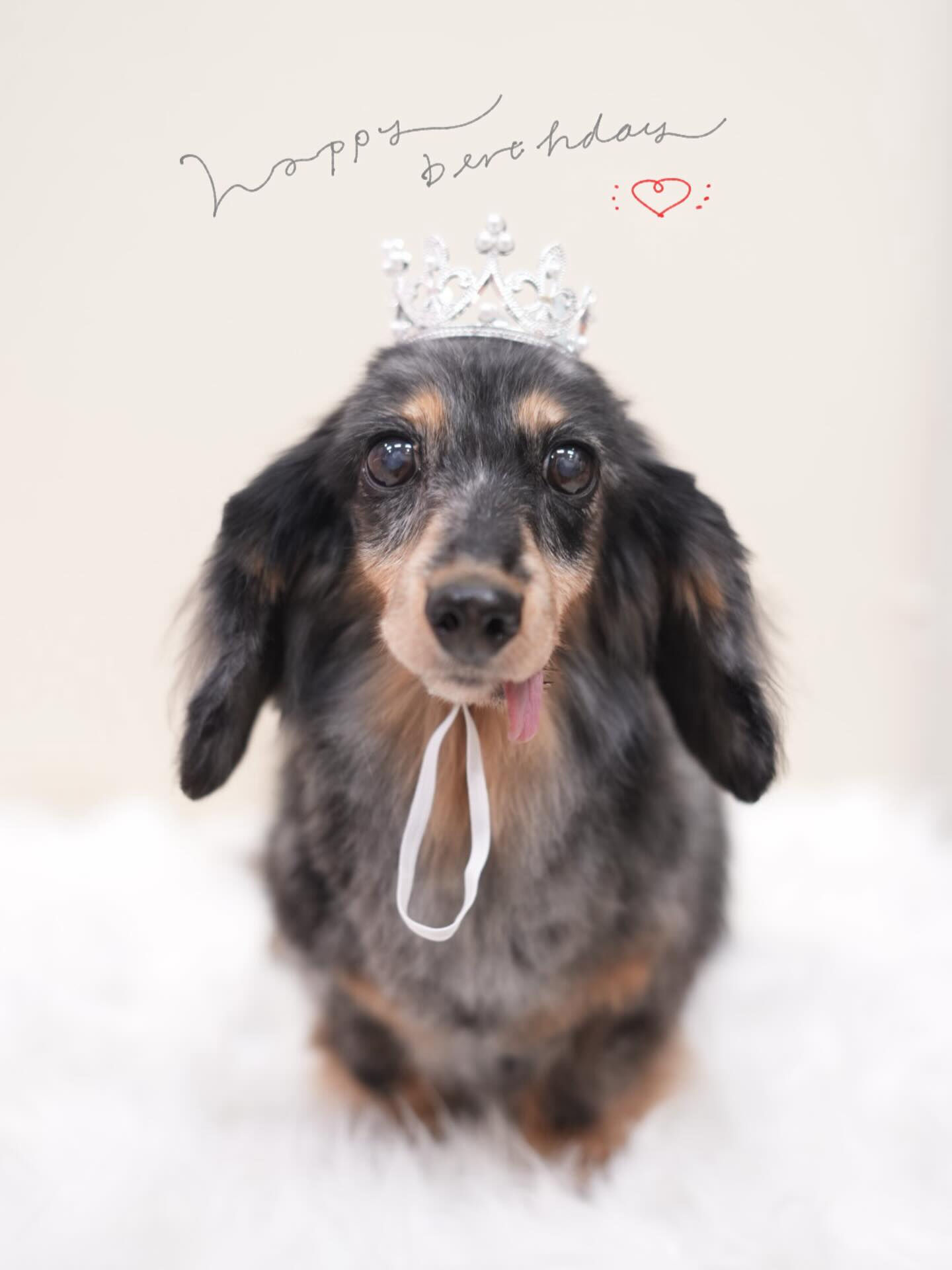 Happy Birthday🎂🎉