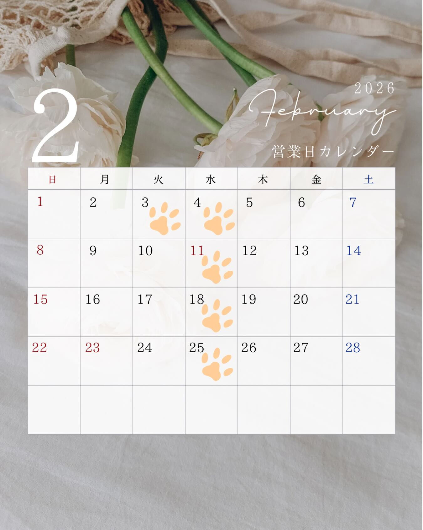 🌼2月の定休日のお知らせ🌼
