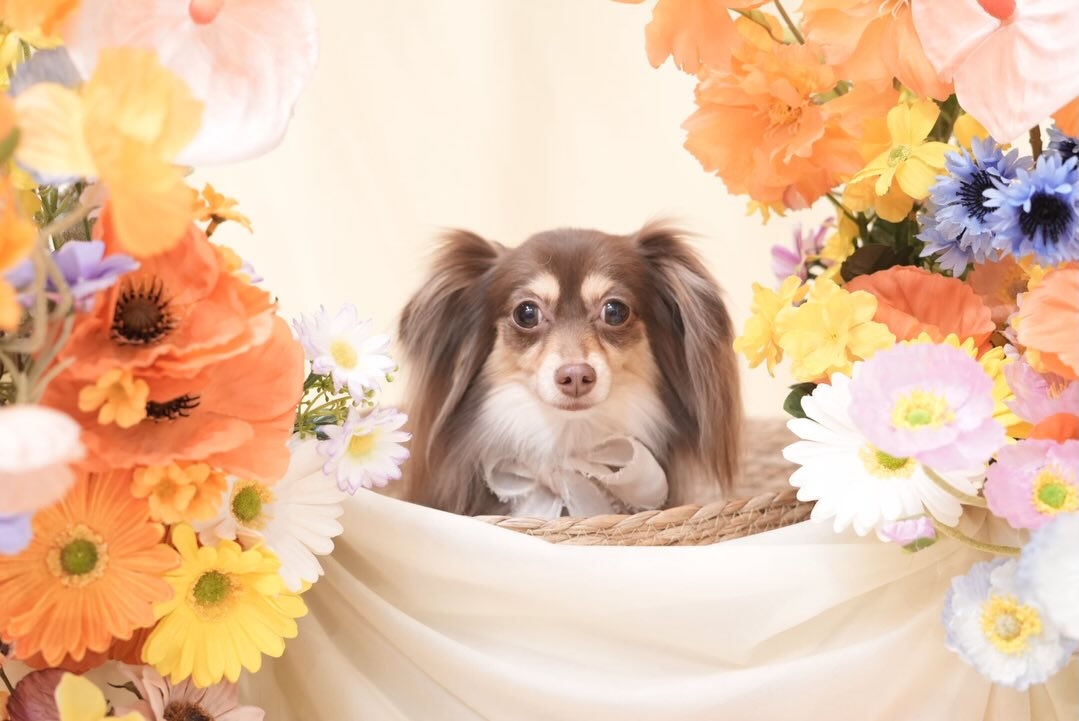 オフショット🌼