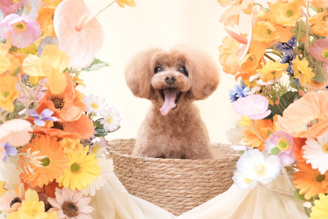 オフショット🌼