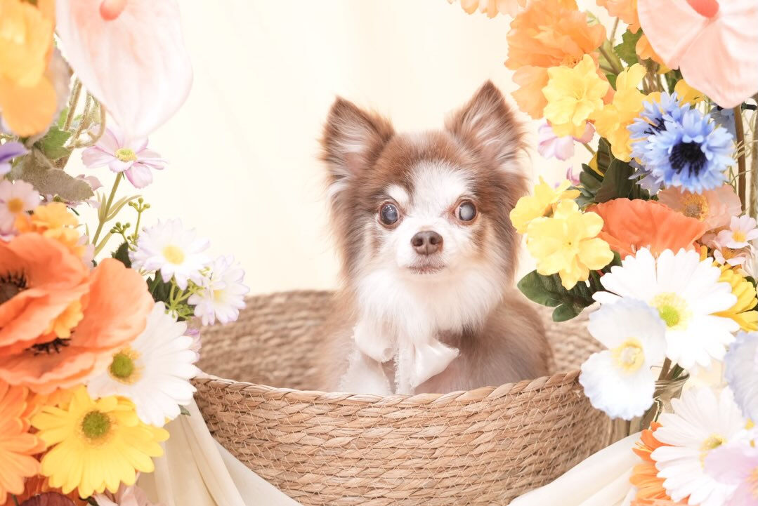 オフショット🌼