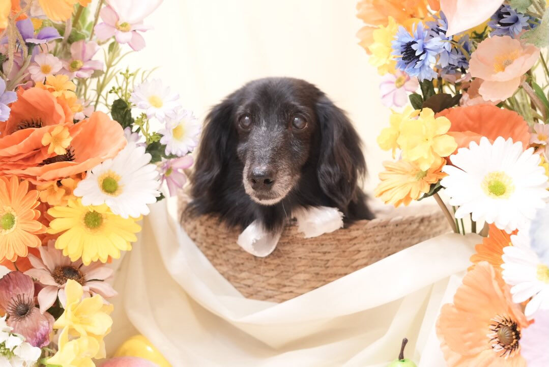 オフショット🌼