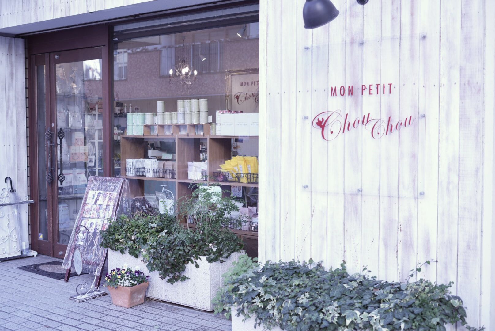 お店紹介✨