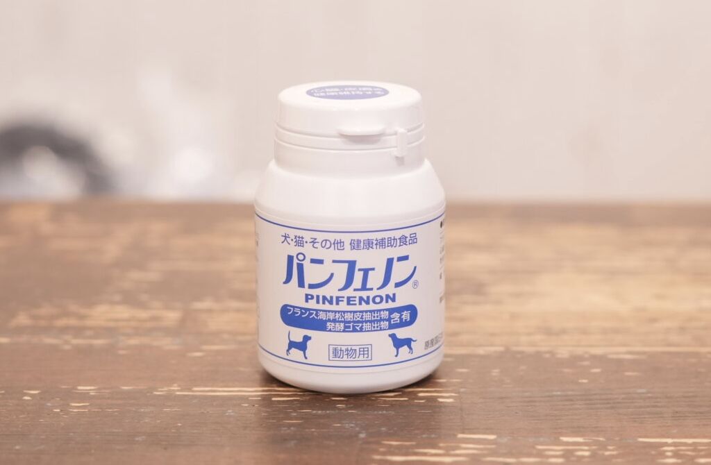   パンフェノンとは？  