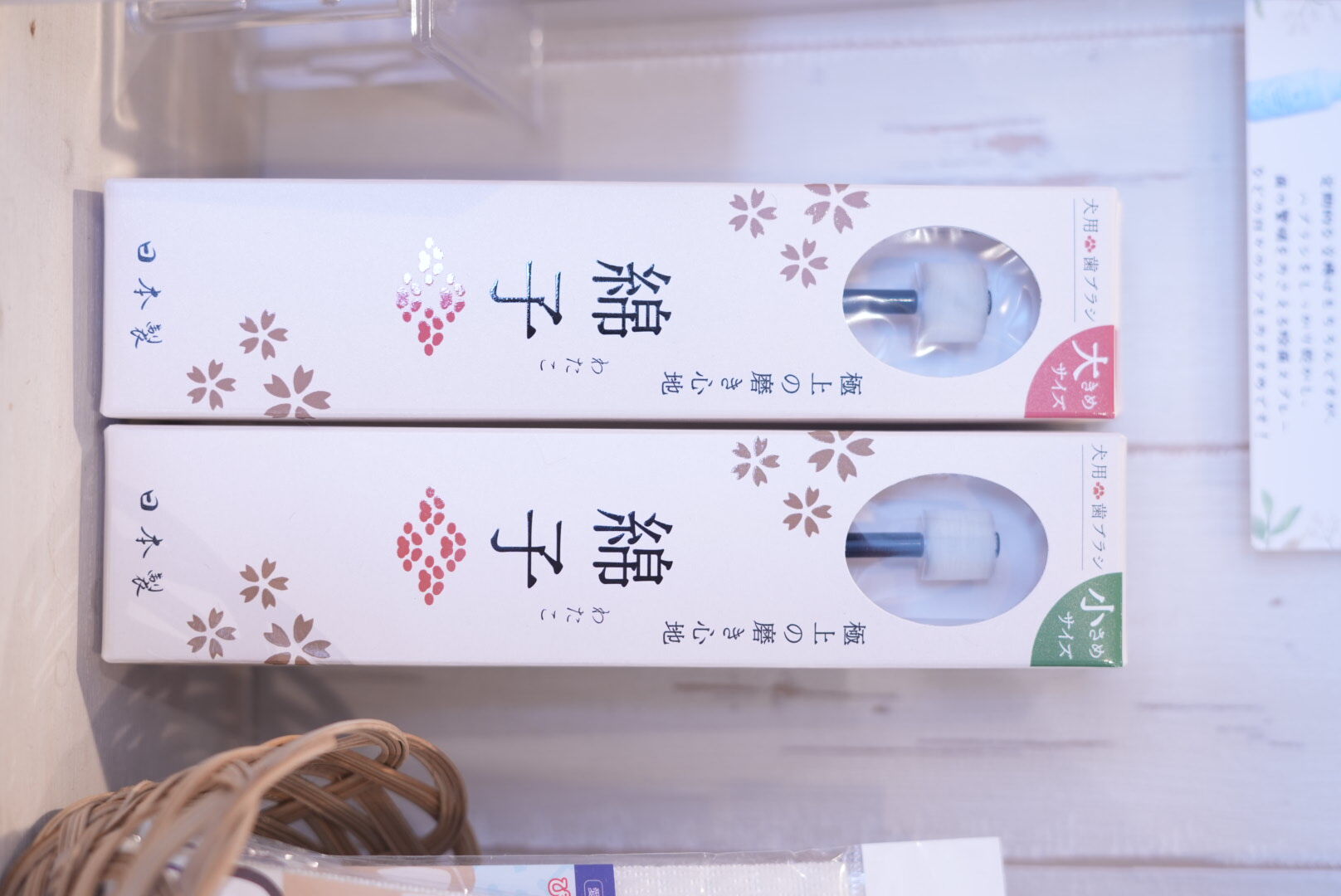   綿子  