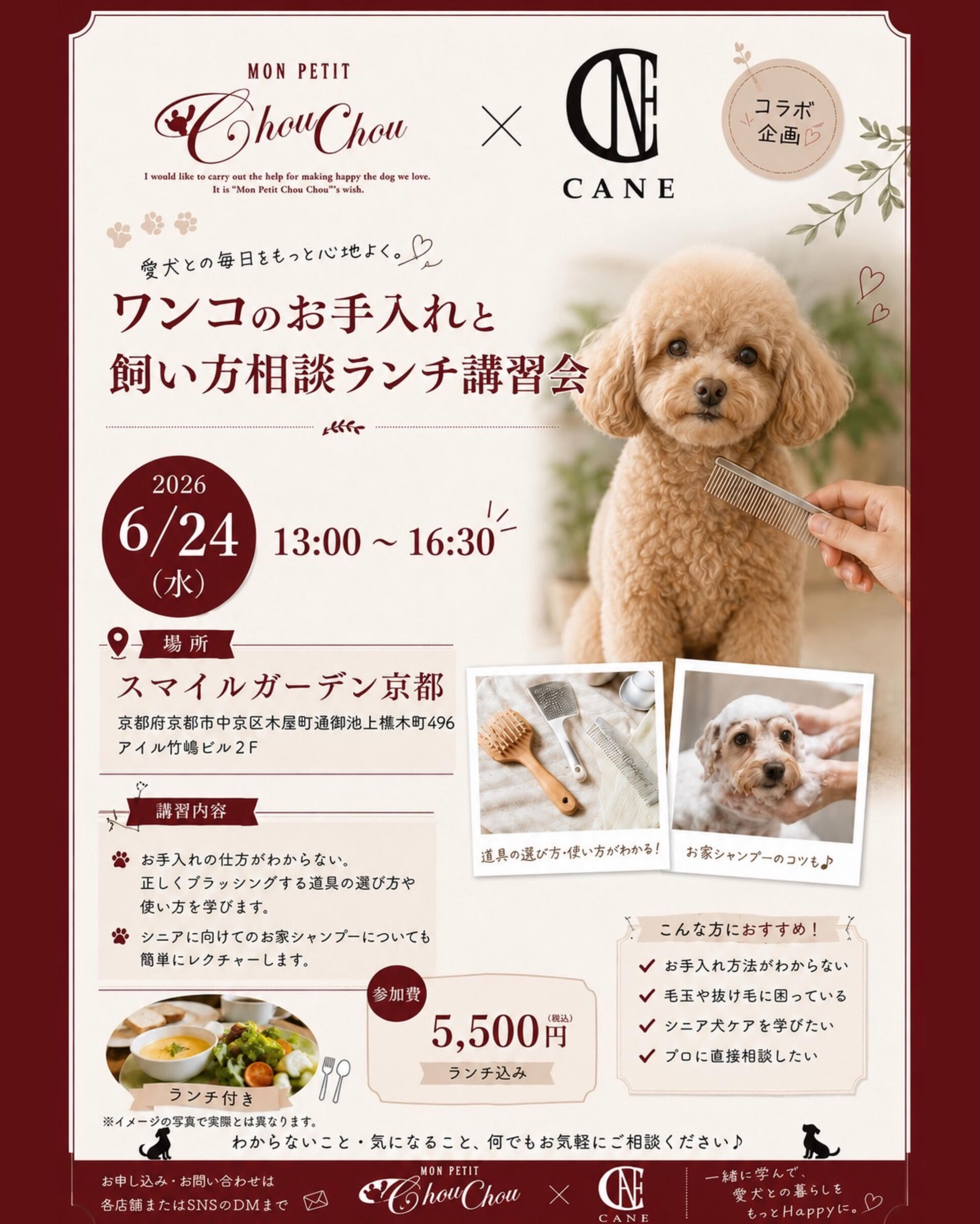 愛犬のために頑張っているのに、『これで合ってるのかな？』と不
