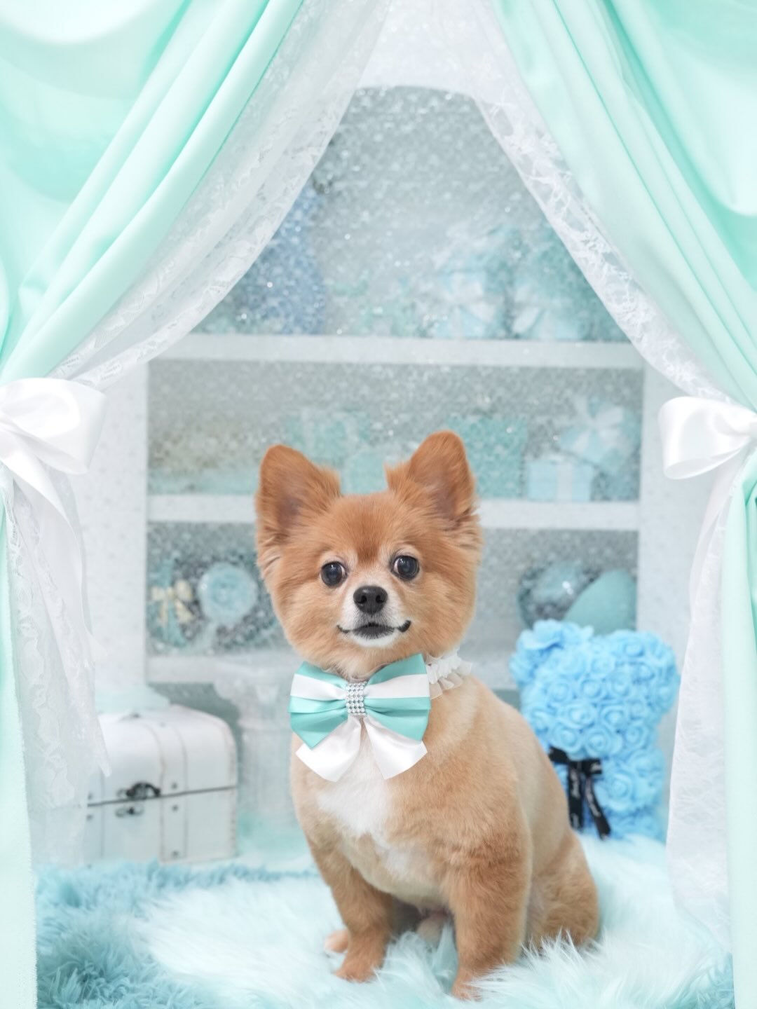 いつか見返したとき、この1枚が宝物になる