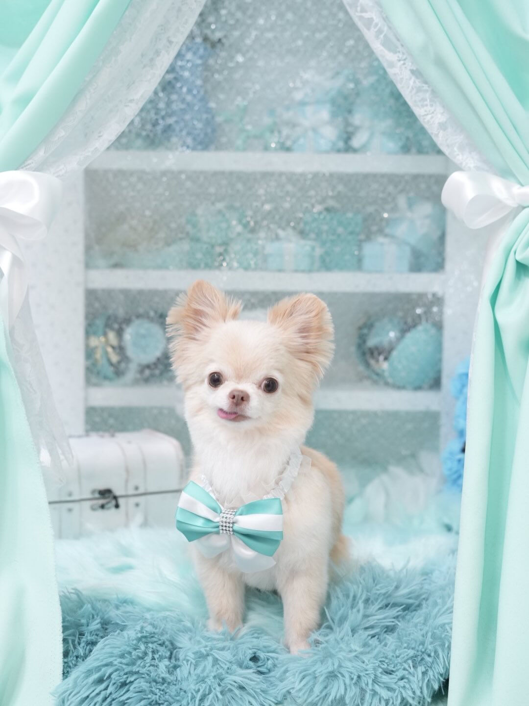 オフショット集🐶🩵