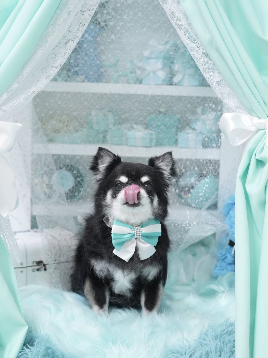 オフショット集🐶🩵