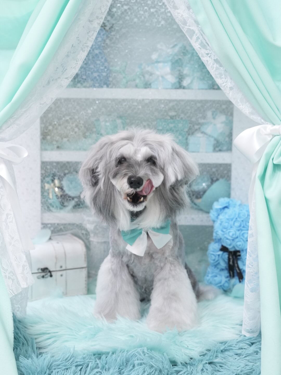 オフショット集🐶🩵