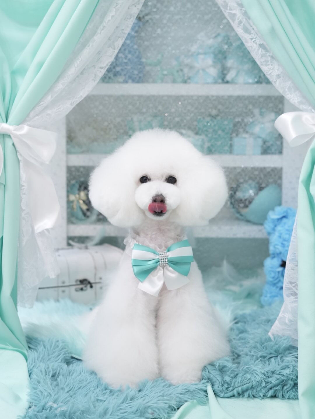 オフショット集🐶🩵