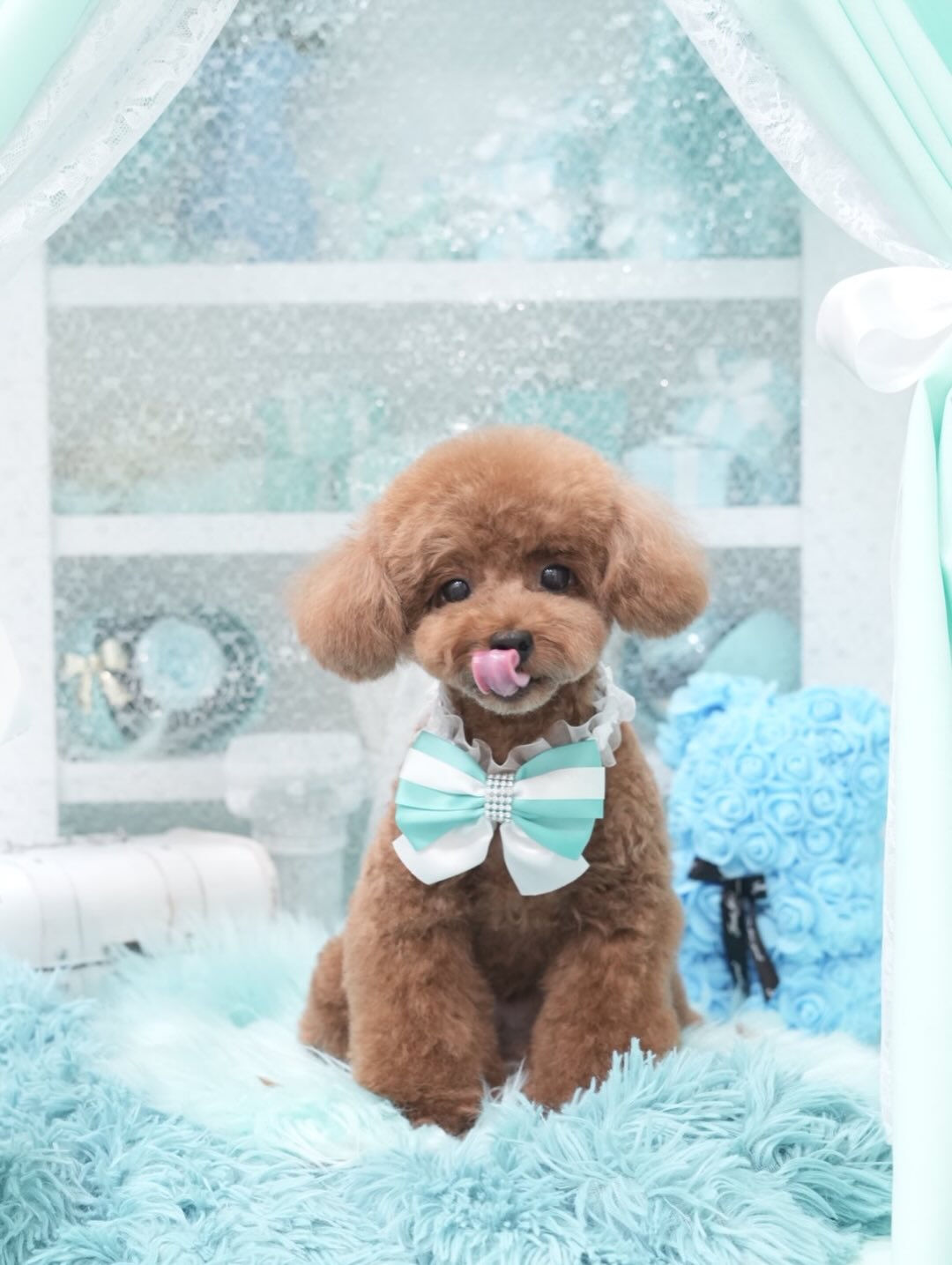オフショット集🐶🩵