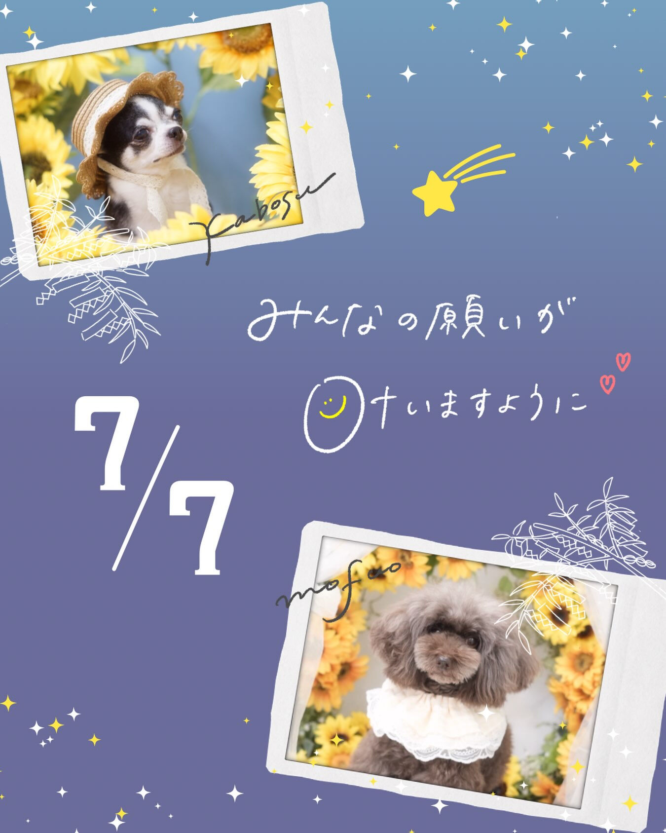 七夕の願い事🐶🎋