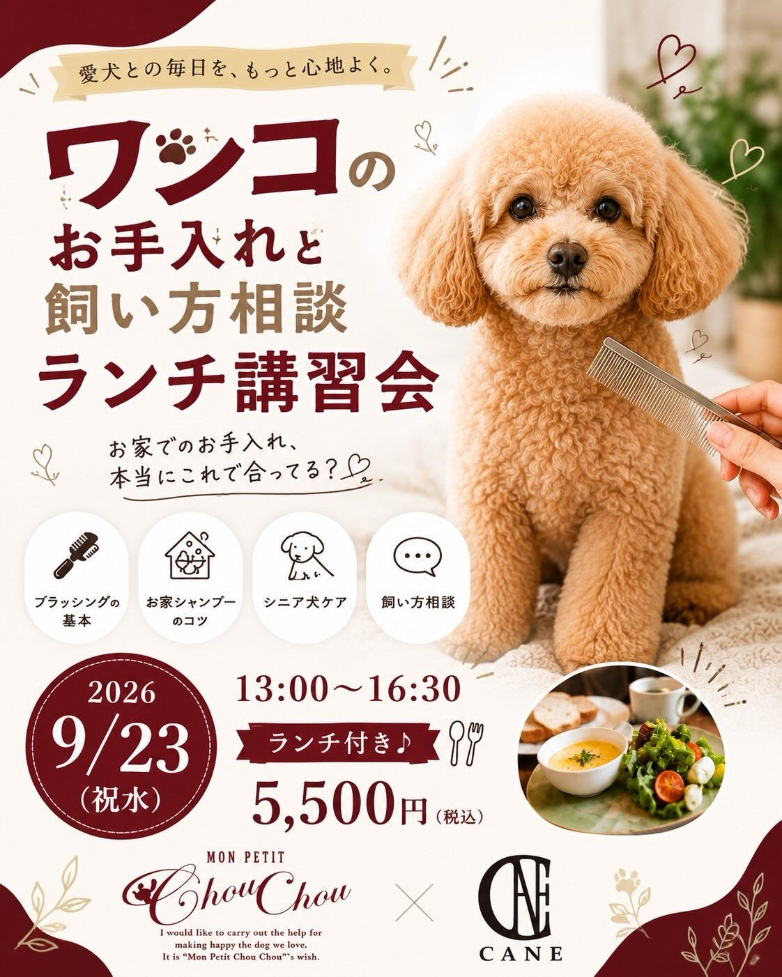 愛犬のために頑張っているのに、『これで合ってるのかな？』と不