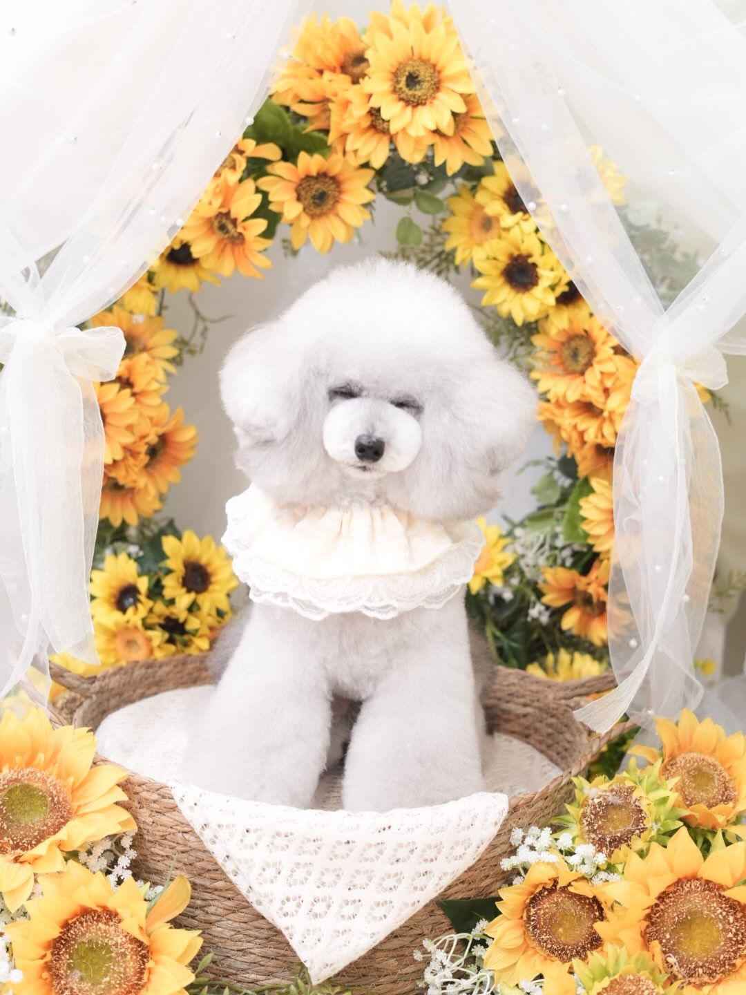 オフショット集🐶💛