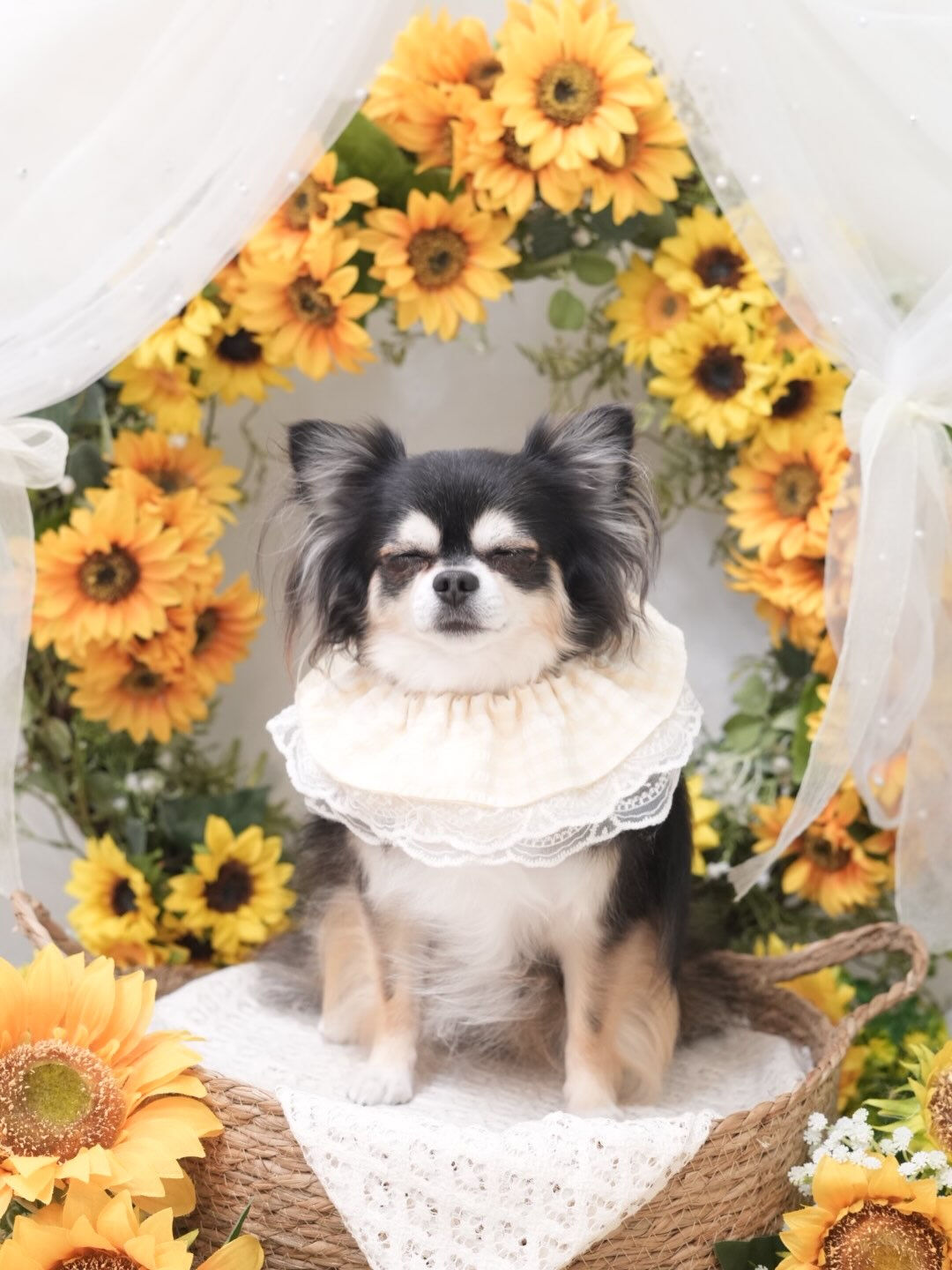 オフショット集🐶💛