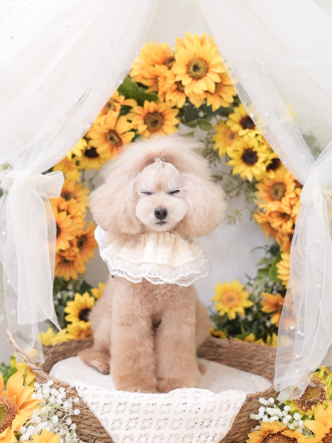 オフショット集🐶💛