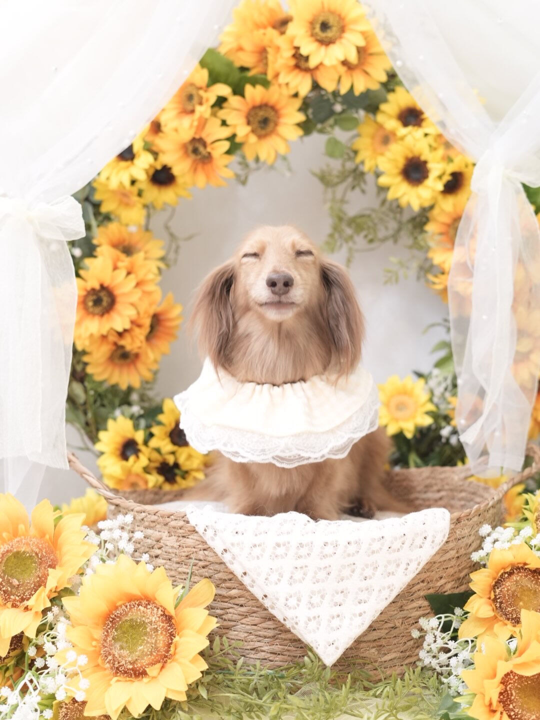 オフショット集🐶💛
