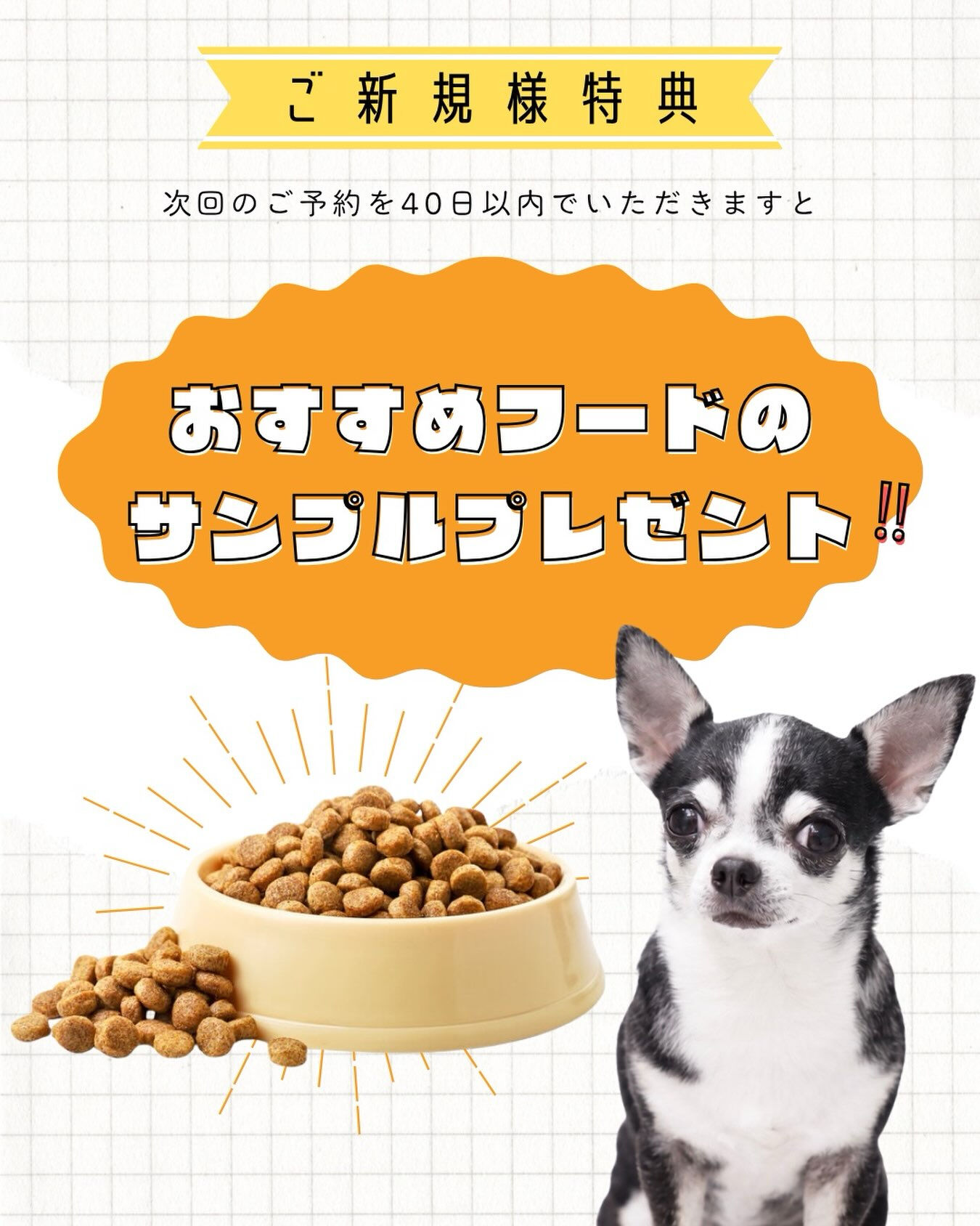 ✨ご新規様限定特典✨