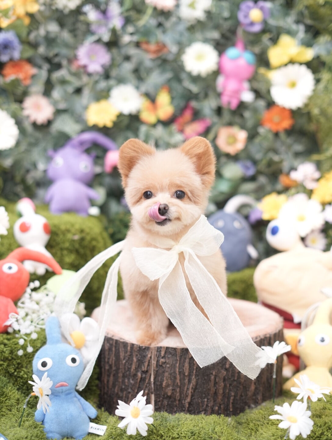 オフショット集🐶