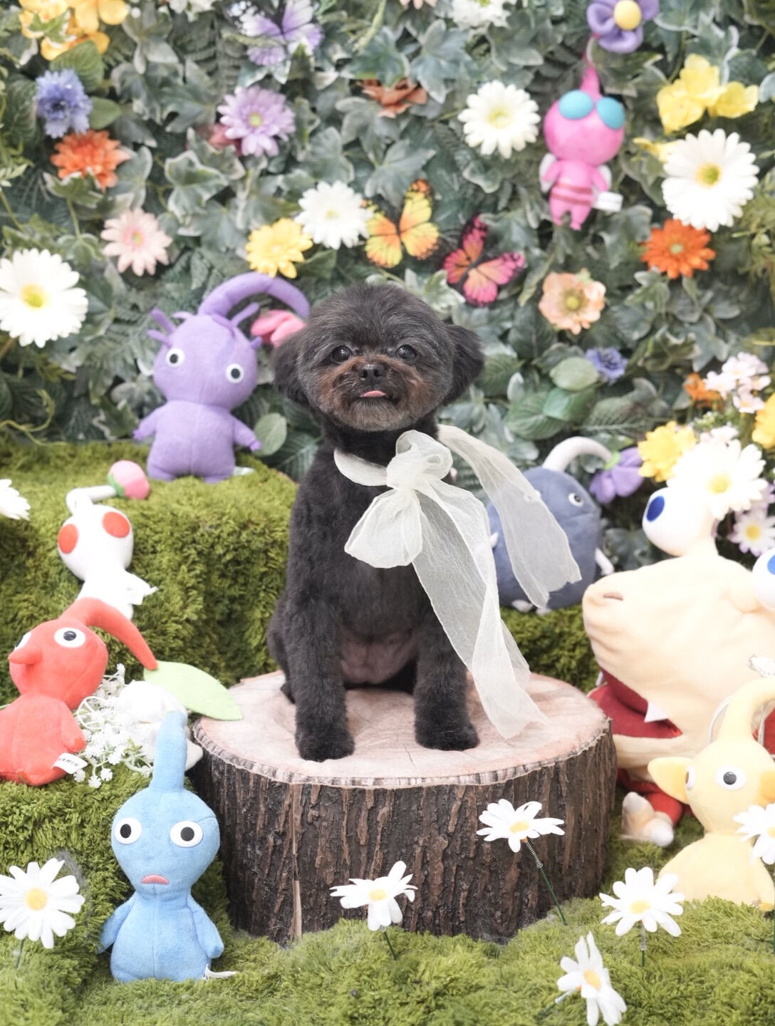 オフショット集🐶