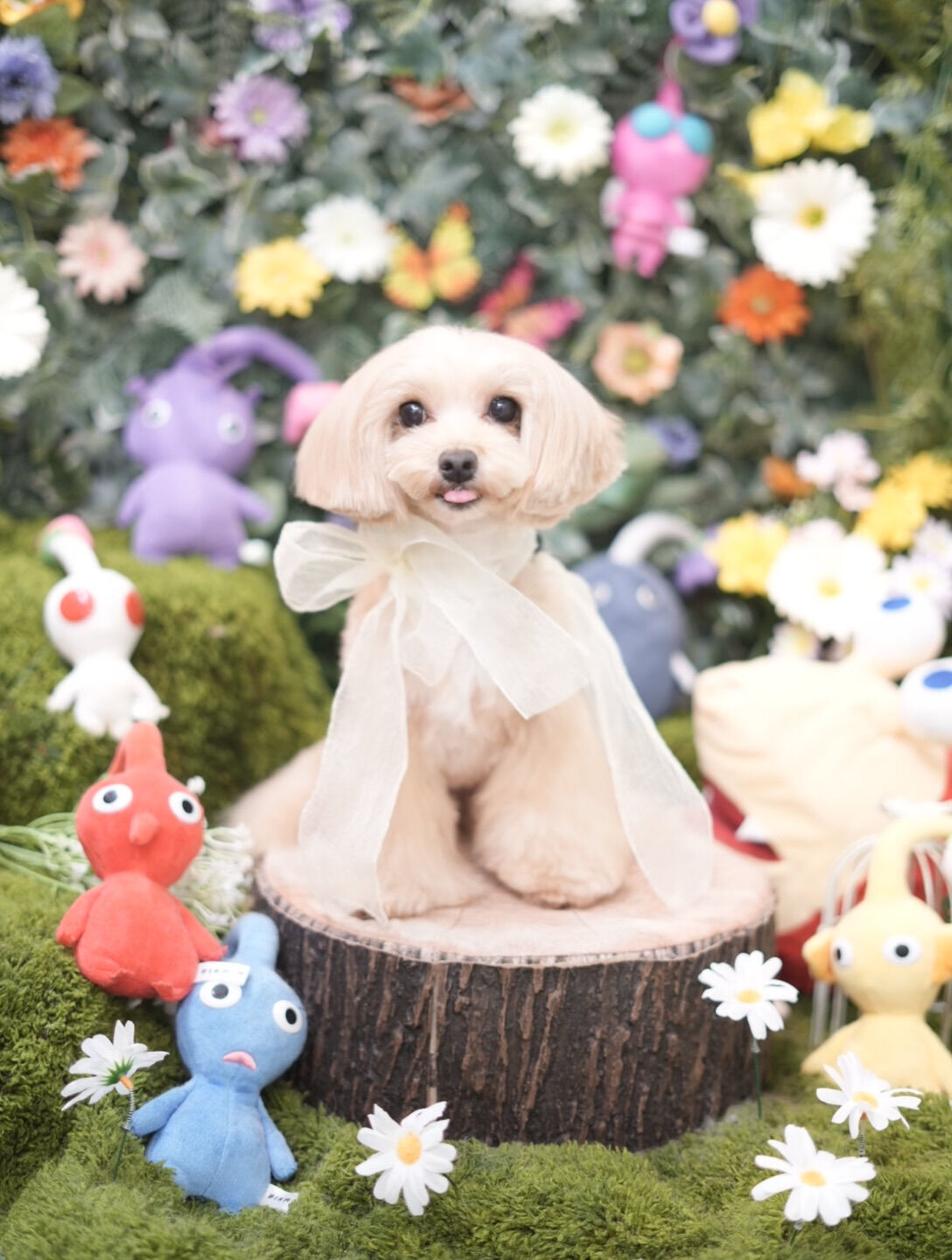 オフショット集🐶