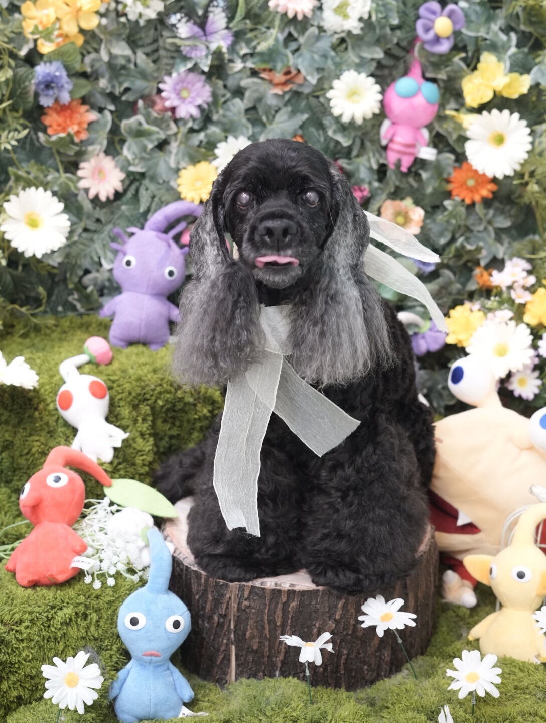 オフショット集🐶