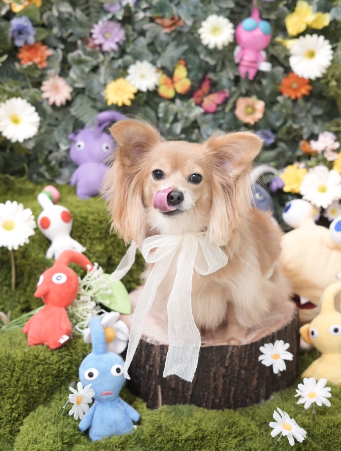 オフショット集🐶