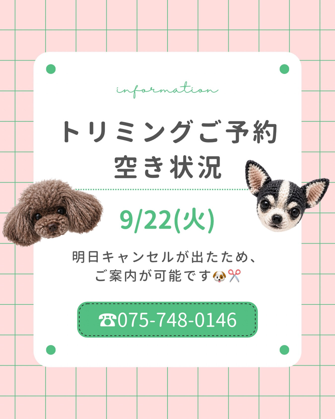 トリミングご予約空き状況🐶✂️