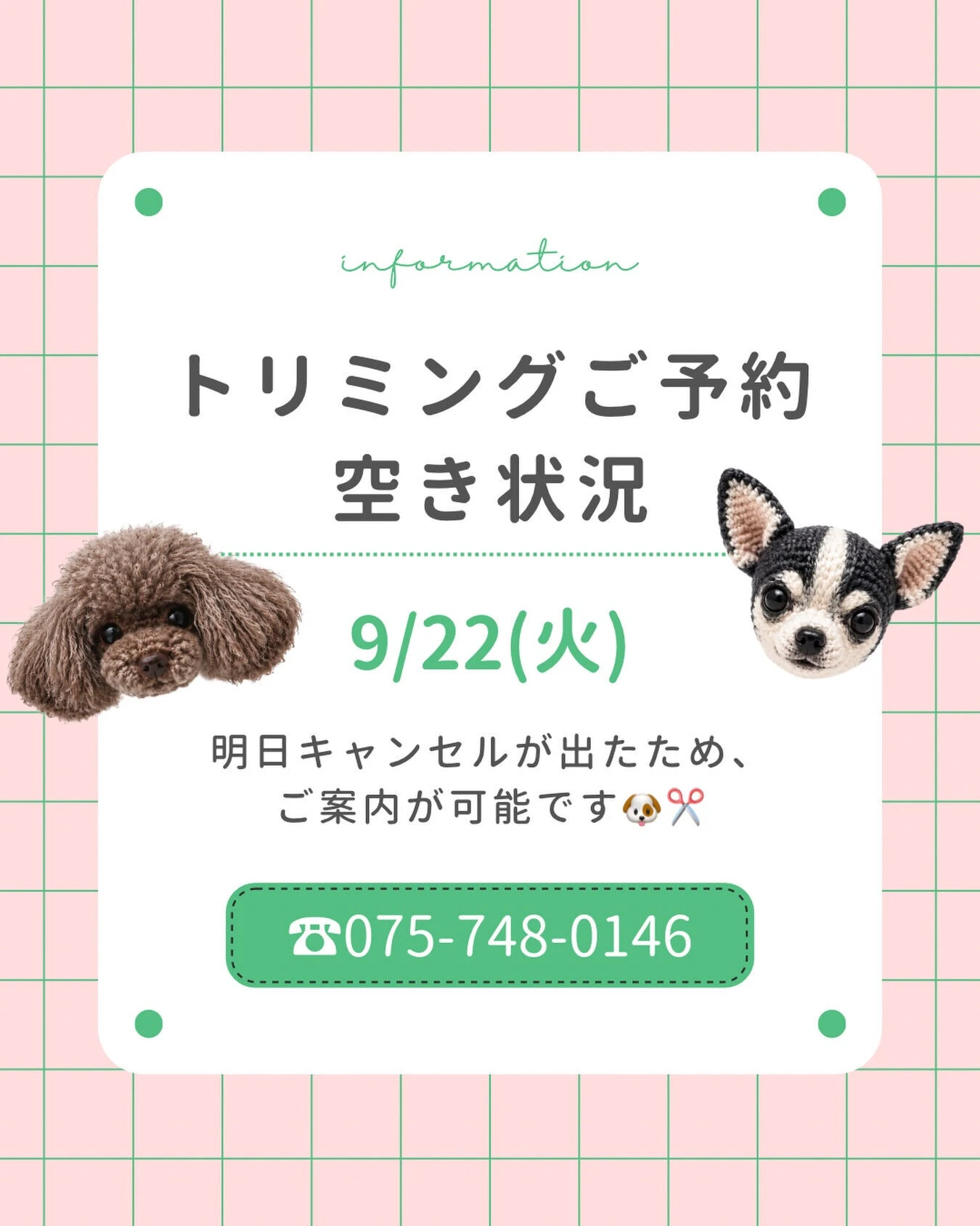 トリミングご予約空き状況🐶✂️