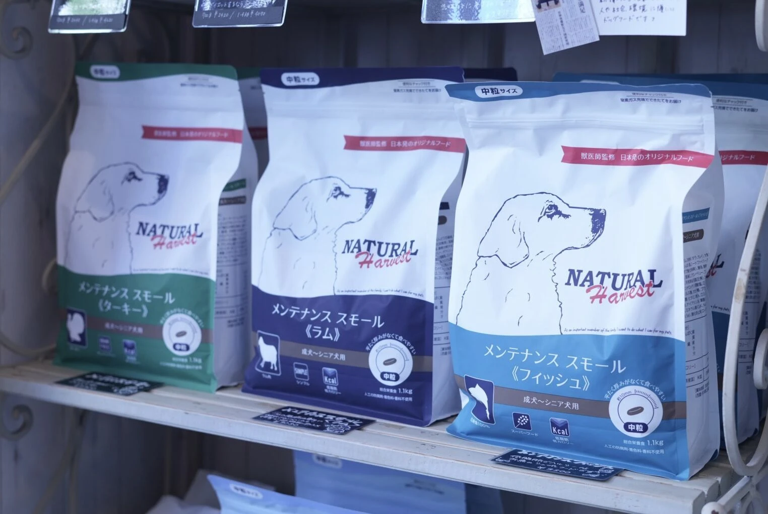 犬のごはん『ナチュラルハーベスト』🐶🥄