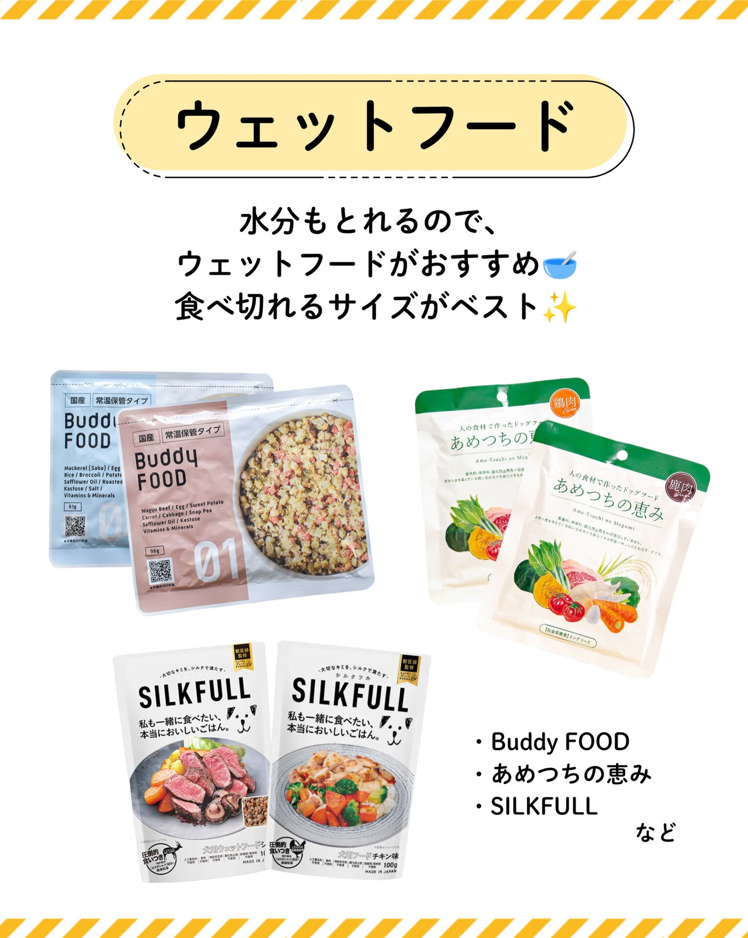 もしもの時、愛犬を守る準備はできていますか？