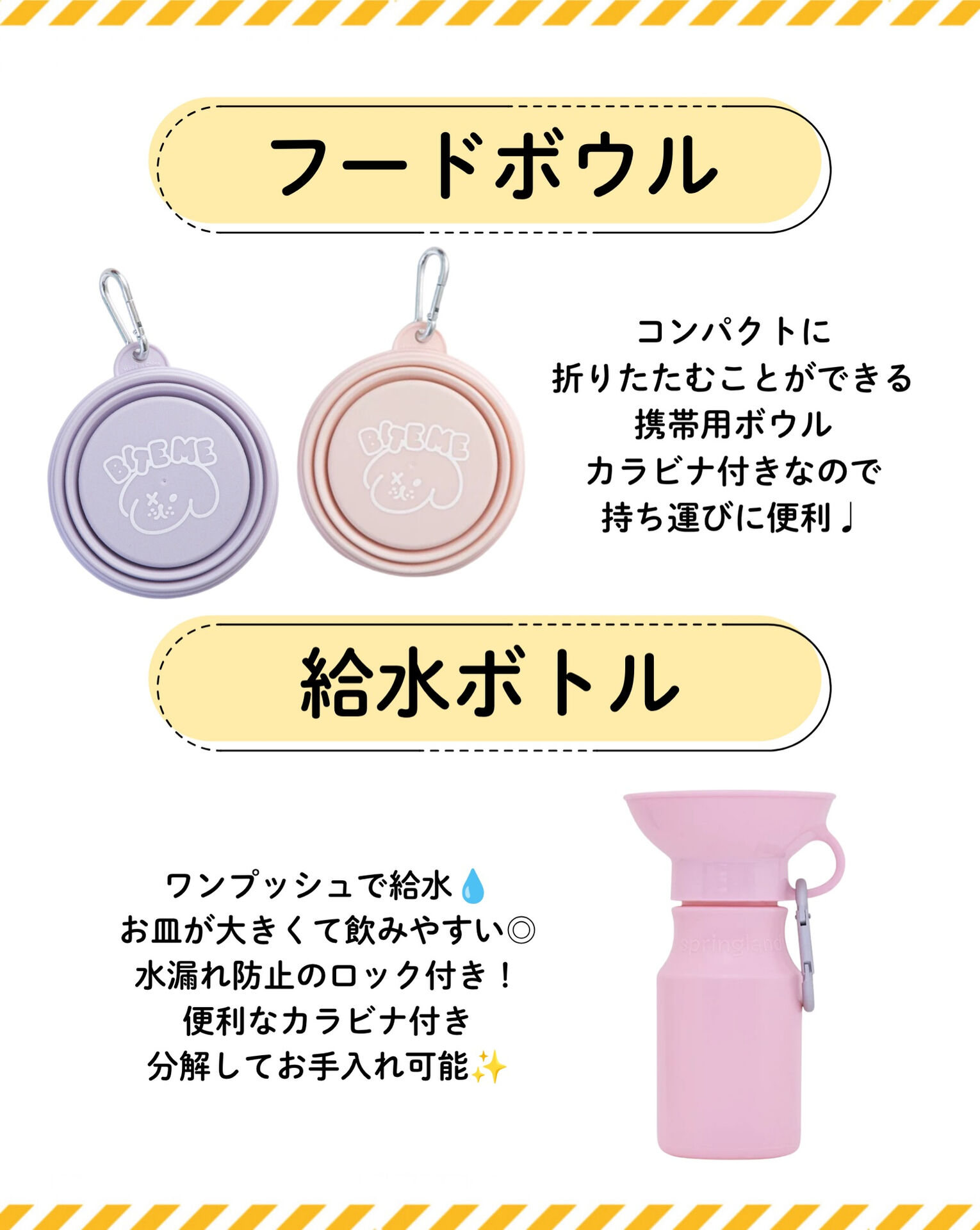 もしもの時、愛犬を守る準備はできていますか？