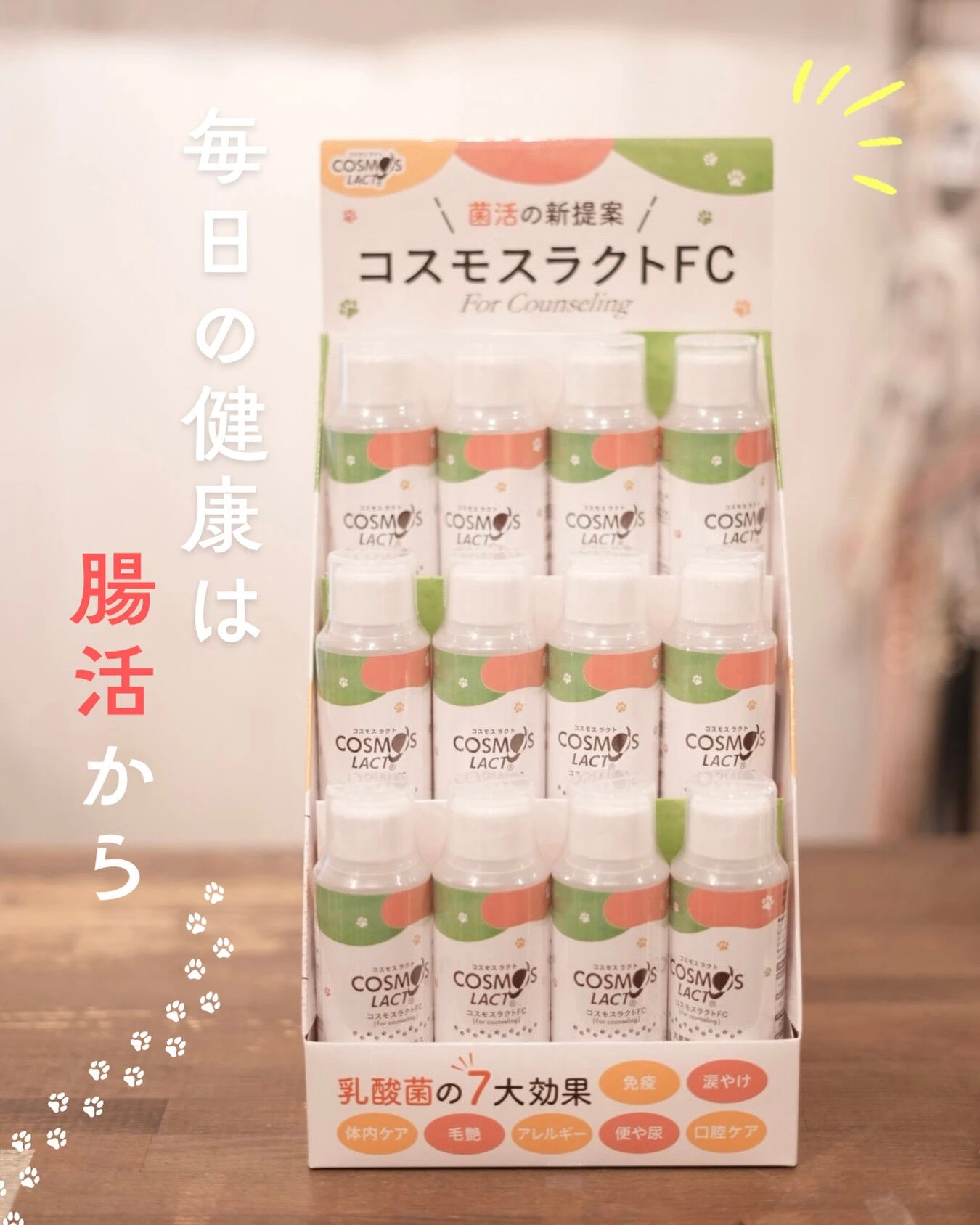 犬も人もまずは腸活から🐶✨