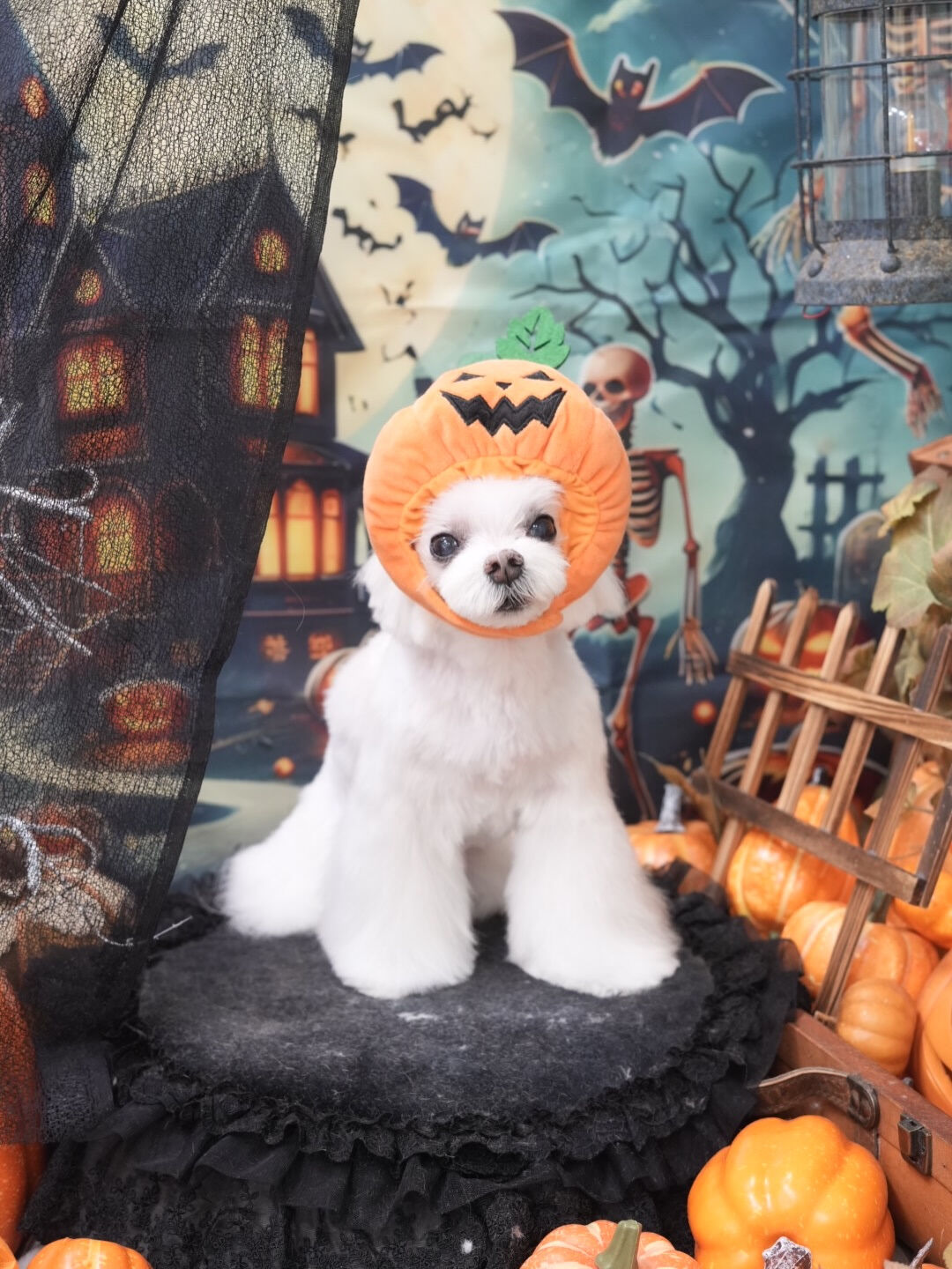 オフショット集🐶📸